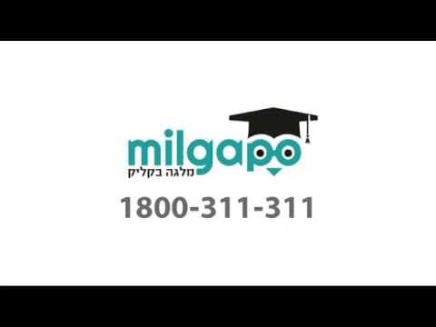 תצוגת דשבורד אינטראקטיבי המציג מעקב אחר לידים ותרשימים